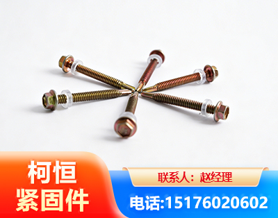 泸州六角钻尾丝